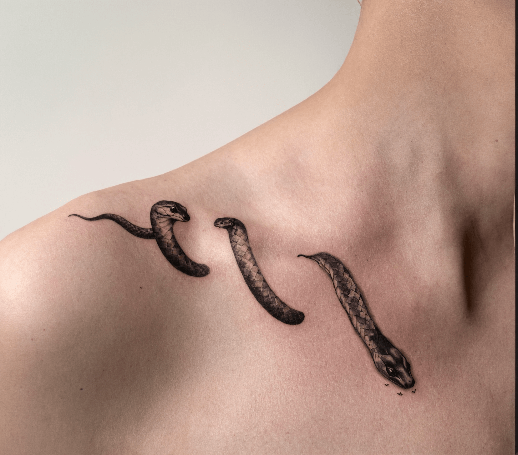 Serpent Clavicle Tattoo – Artful, Waterproof, and Long-Lasting