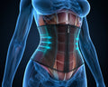 Snatched Waist Trainer — Hourglass Shapewear