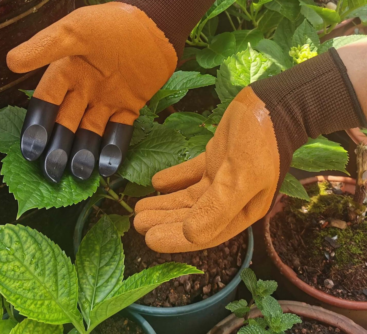 Best Gardeners World Gloves With Claws